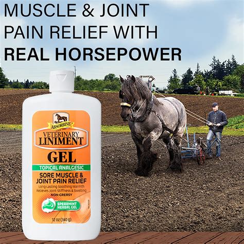 Managing Weight and Metabolism with Equine Magic 32 oz